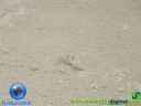 DSC03846.jpg