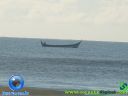 DSC04015.jpg