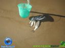 DSC04032.jpg
