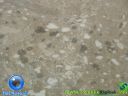 DSC04065.jpg