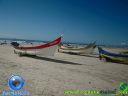 DSC04113.jpg