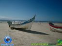 DSC04114.jpg