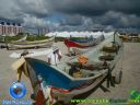 DSC04115.jpg