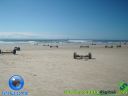 DSC04116.jpg