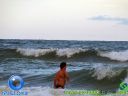 Filename=DSC04395.jpg
Filesize=64KiB
Dimensions=640x480
Date added=Jan 24, 2012 DSC04395.jpg