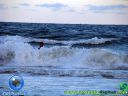 DSC04401.jpg