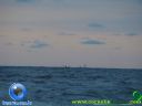DSC04413.jpg