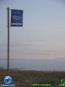 DSC04425.jpg