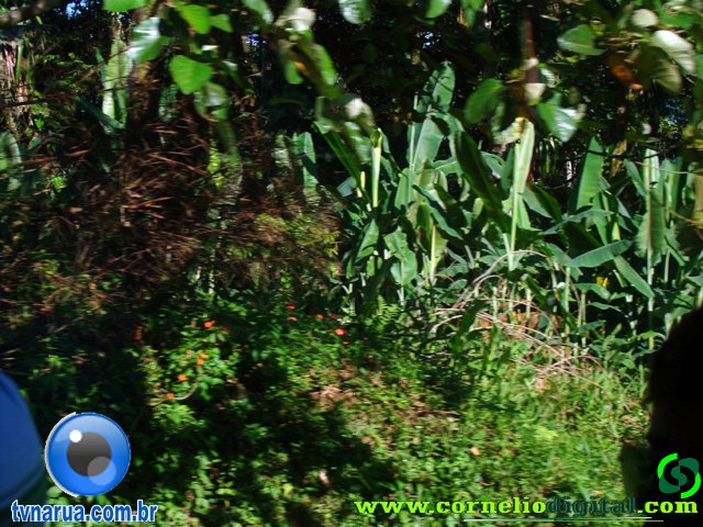 DSC04541.jpg