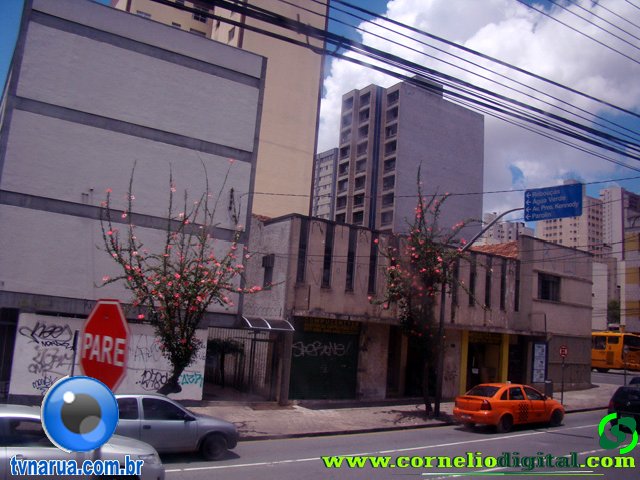 DSC04682.jpg