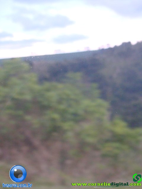 DSC04939.jpg