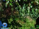 DSC04541.jpg