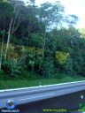 DSC04542.jpg