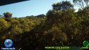 DSC04572.jpg