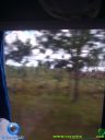 DSC04921.jpg
