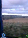 Filename=DSC04934.jpg
Filesize=47KiB
Dimensions=480x640
Date added=Jan 24, 2012 DSC04934.jpg
