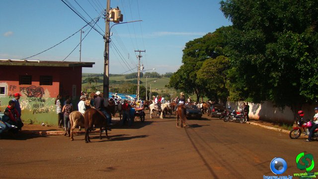 DSC03493.jpg