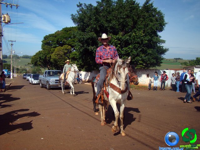 DSC03552.jpg