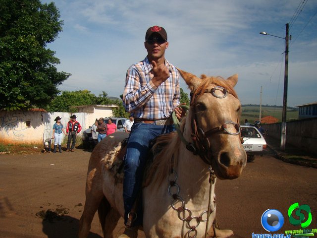 DSC03554.jpg