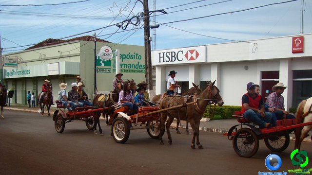 DSC03597.jpg