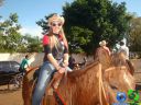 DSC03496.jpg
