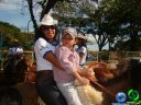 DSC03533.jpg