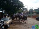 DSC03564.jpg