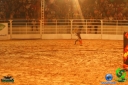 DSC01597.jpg