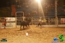 DSC01763.jpg