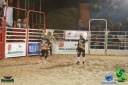 DSC01767.jpg