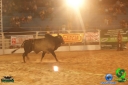 Filename=DSC01843.jpg
Filesize=53KiB
Dimensions=640x427
Date added=Dec 14, 2012 DSC01843.jpg