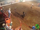 DSC05545.jpg