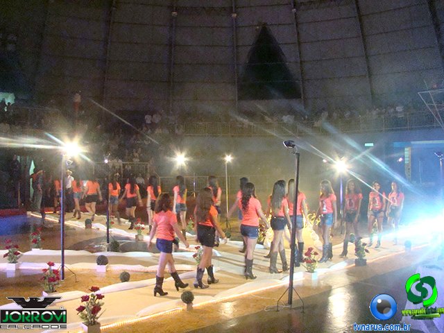 DSC00764.jpg
