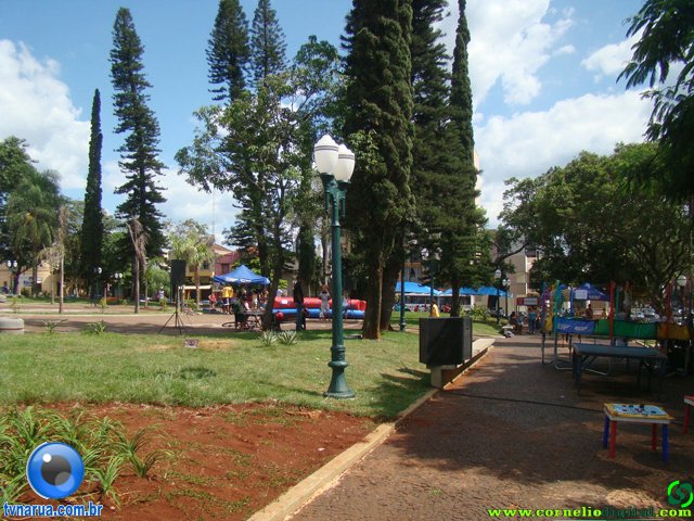 DSC06619.jpg