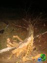 DSC01244.jpg