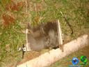 DSC01256.jpg