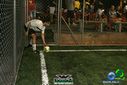 DSC03533.jpg