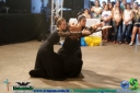 DSC08327.jpg