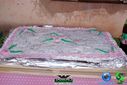 DSC09153.jpg