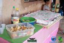 DSC09156.jpg