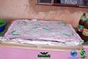 DSC09415_2.jpg