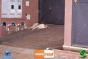 DSC09144.jpg
