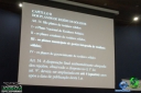 DSC00765.jpg