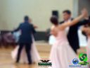DSC03462.jpg