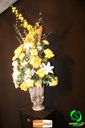 DSC06728.jpg