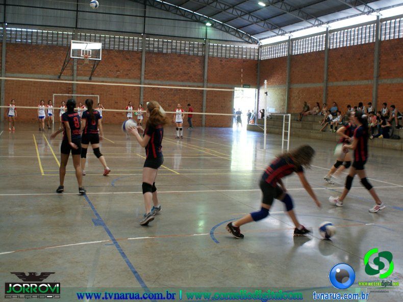 DSC02232.jpg
