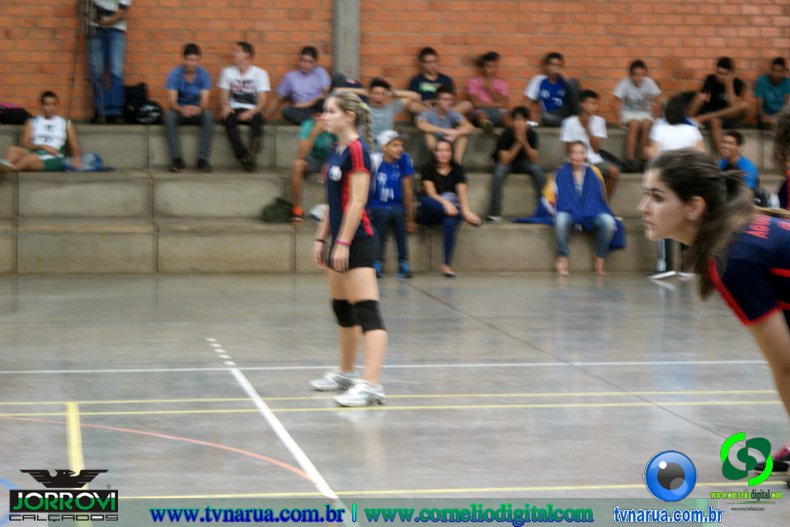 DSC02248.jpg