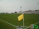 DSC02669.jpg