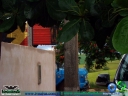 DSC00308.jpg