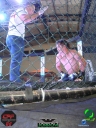 13-04-2013_01_DSC01497.jpg